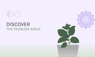 Sunny Patch - Discover