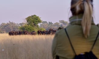 On a bush walk throuhg the Greater Kruger region