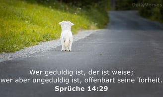 Wer geduldig ist, der ist weise
