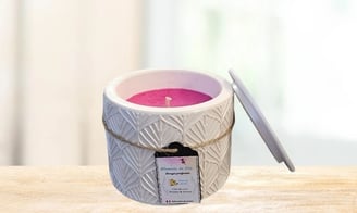 Bougies en pot Nuances de Fée