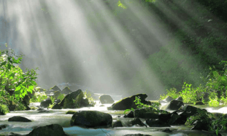 Discover the Amazing Health Benefits of Endoca's CBD Topicals and Wellness Products