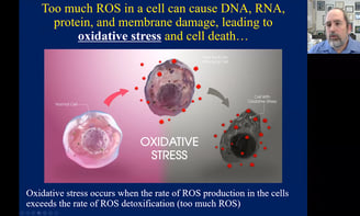 xidative stress have been associated with almost all diseases that you can think of