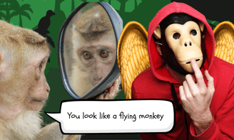 a monkey looking in a mirror and a man in monkey face mask