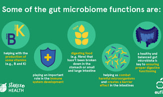 Summary of gut microbiome functions