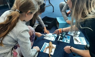 Des enfants assis par terre qui découvrent la boîte à requins Festival Galathea