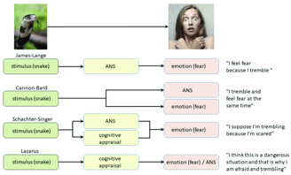 early theories of emotion