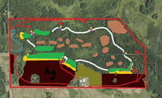 whitetail habitat property design