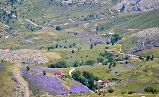 Kırkısrak Köyü, Sarız, Kayseri