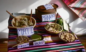 Platos tradicionales con letreros identificativos: Mati, uchu, manka, hatun wisla...