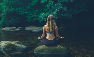 Ormanda meditasyon