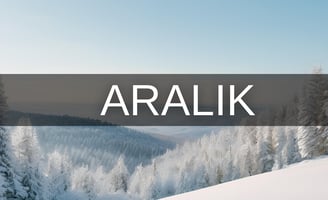 Aralık ayı hangi burç