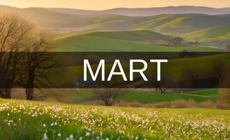 Mart ayı hangi burç
