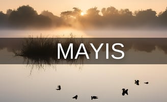 Mayıs ayında doğanlar hangi burç