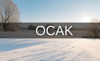 Ocak ayı hangi burç