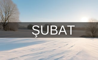 Şubat ayı hangi burç
