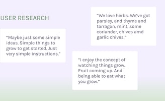 Sunny Patch - User Research