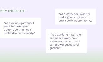 Sunny Patch - Key Insights