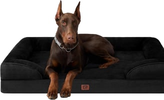 cama perro grande ortopedica eheyciga