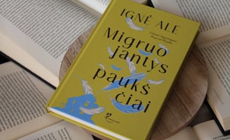 meilės romanas pozityvi knyga apžvalga