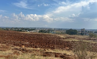a field with a cow standing in the middle of it