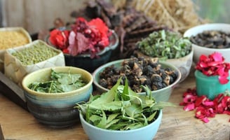 a variety of different types of herbs used for hair care