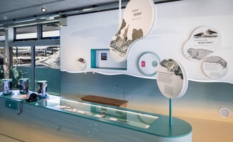 Wasserlinie des Aquariums - ein grundlegendes Element, das das gesamte Erlebnis vereint.