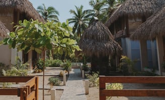 Gato Surf houses, houses premium in La Saladita