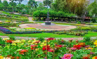 Jardim colorido