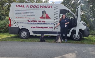 Suzy and two of her dogs stand outside her custom build dial a dog wash van