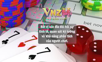 Cách Bắt Vị Xóc Đĩa Hiệu Quả Tại Nhà Cái VNZ66