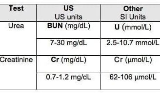 Urea and Creatinine