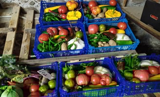 Paniers de légumes bio