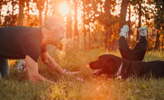 bambino-che-inciampa-sul-cane-al-tramonto
