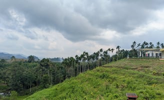 Hen Tae khao cafe, sawi Chumphon