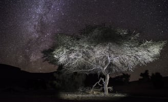 Nightscape, Voie Lactée, Milky Way, Via Lattea, Paysage Etoilé, Starry Landscape, Paesaggio stellato