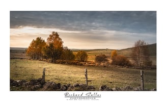 Paysase de l' Aubrac en automne