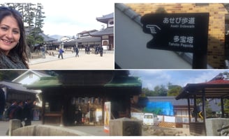 Foto da autora destacando outras atividades em Miyajima.