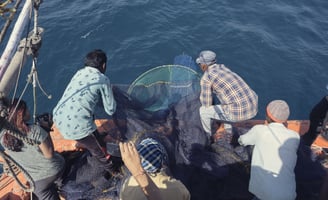 a group of fishers suspending net into the water