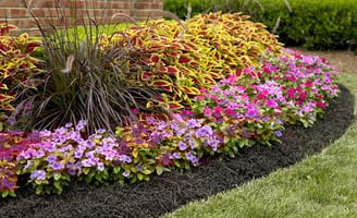 a flower bed in a garden with a brick wall