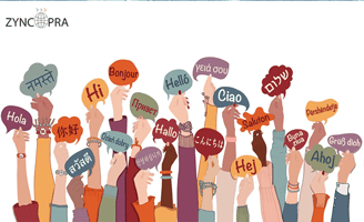 Multilingual communication and cultural adaptation in export trade
