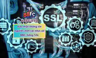 Chính Sách Bảo Mật & Hỗ Trợ Khách Hàng Tại Nhà Cái 88FC – An Toàn Tuyệt Đối, Hỗ Trợ 24/7