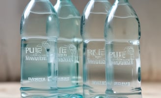 A plastic bottle of mineral water labeled 'Vatra,' with a blue cap, is standing on a light stone ground. The background features lush green leaves and a rough concrete block.