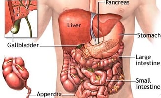 GASTRO FOUNDATION ABDOMINAL PAIN