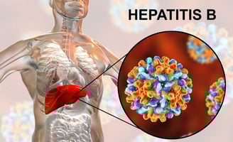 GASTRO FOUNDATION Hepatitis B