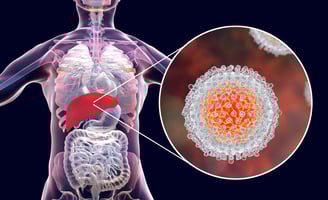 GASTRO FOUNDATION Hepatitis C