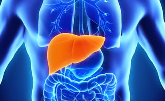 GASTRO FOUNDATION LIVER