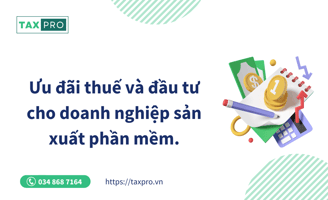 uu dai thue san xuat phan mem
