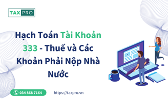 hach toan tai khoan 333