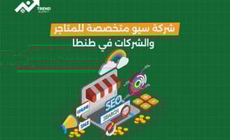 شركة سيو متخصصة للمتاجر والشركات في طنطا