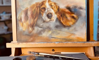 A painting of a Basset Hound I am working on